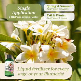 Leaves and Soul indoor plumeria feed promoting lush foliage