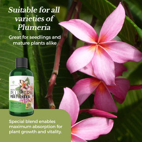 Leaves and Soul 8 oz fertilizer supporting strong plumeria roots