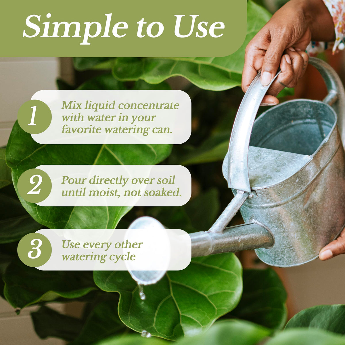 Leaves and Soul liquid formula pouring into water for rapid root absorption