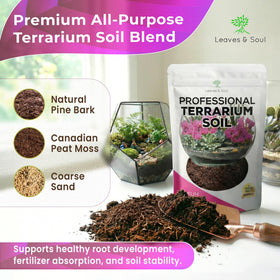 Leaves and Soul premium terrarium soil ingredients close-up highlighting drainage-friendly mix