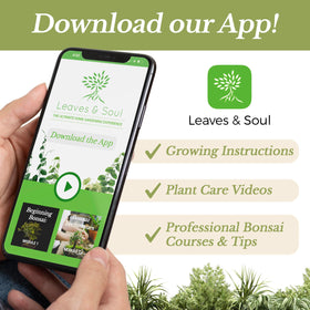 Leaves and Soul resealable packaging keeps soil fresh for home plant care.