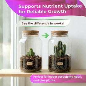Leaves and Soul resealable packaging keeps terrarium soil fresh between uses