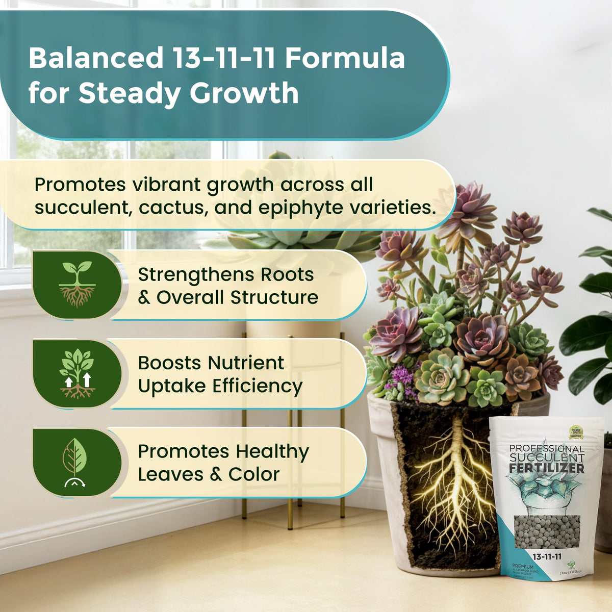 Leaves and Soul slow-release formula label highlights six-month feeding for plants.
