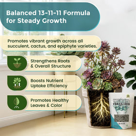 Leaves and Soul slow-release formula label highlights six-month feeding for plants.
