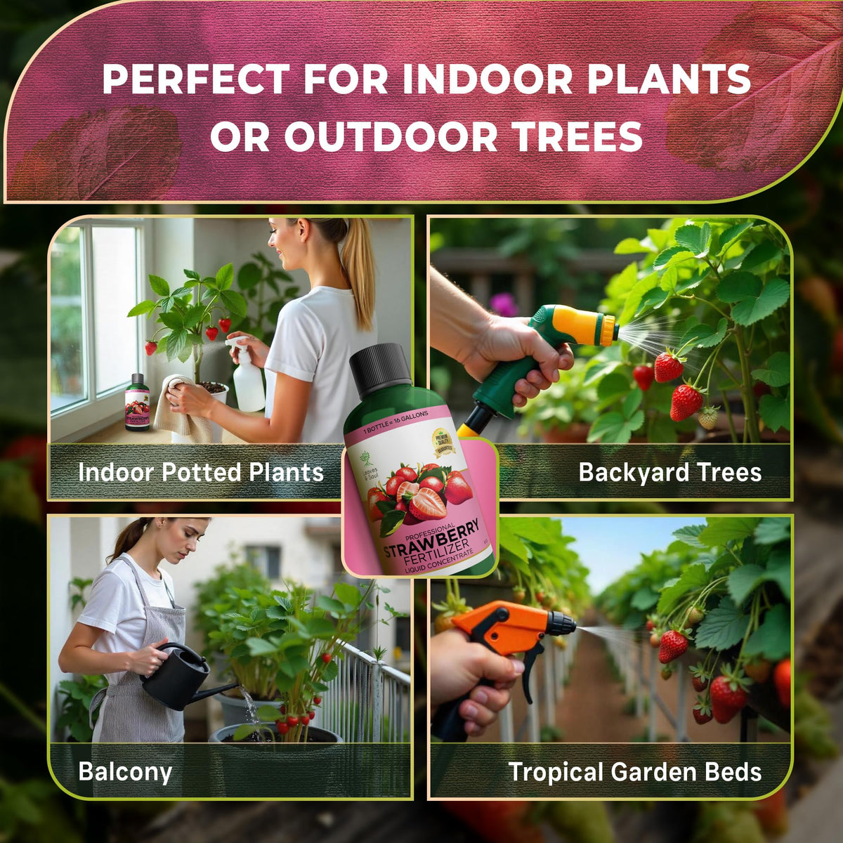 Leaves and Soul fertilizer supports berry sets and healthier harvest potential