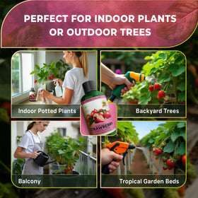 Leaves and Soul fertilizer supports berry sets and healthier harvest potential