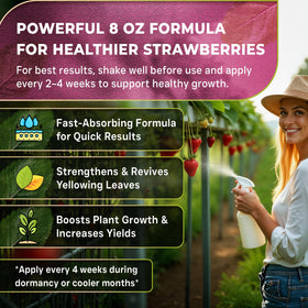 Leaves and Soul strawberry fertilizer dilution in water enables quick root nutrition