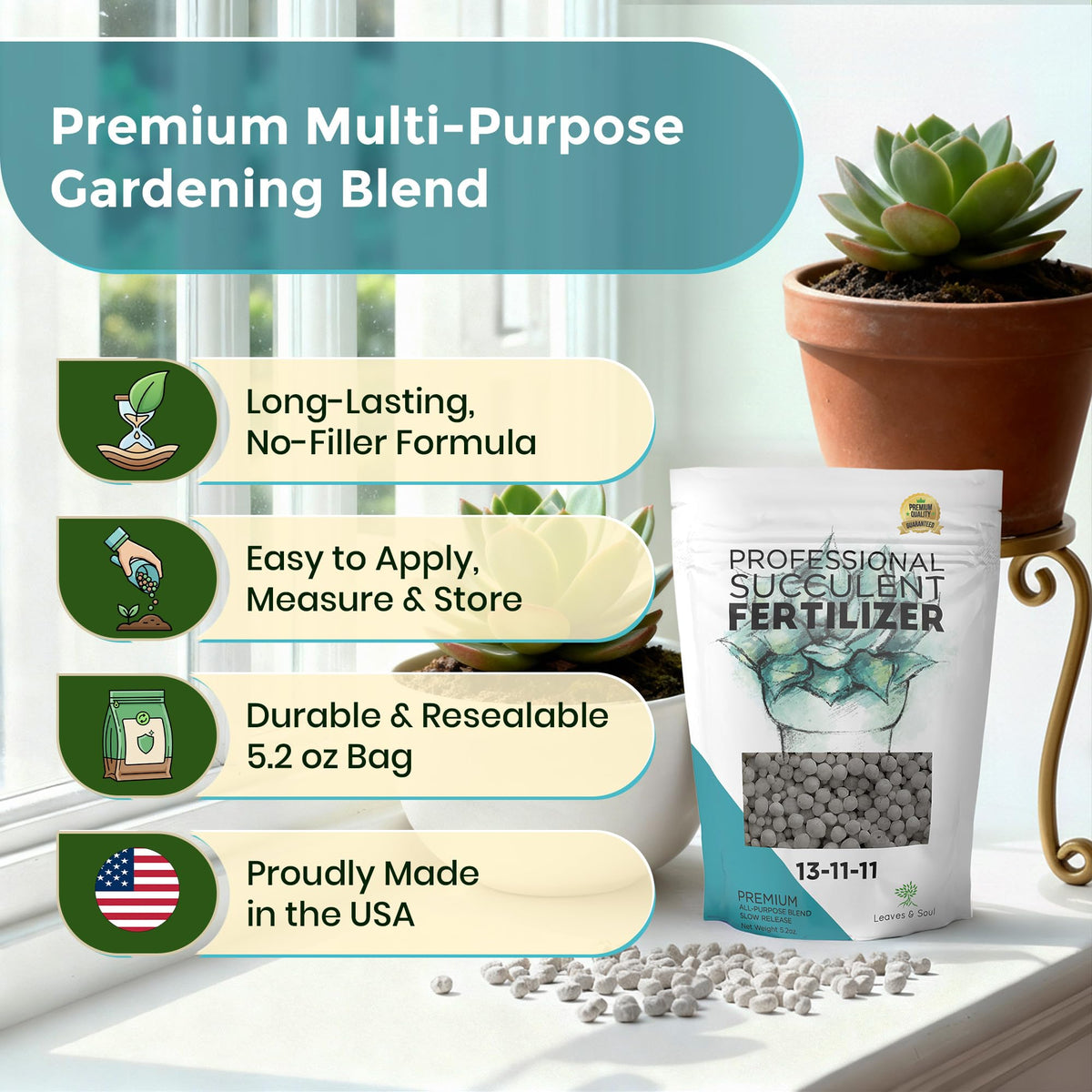 Leaves and Soul succulent feeding application ideal for cacti and indoor plants.