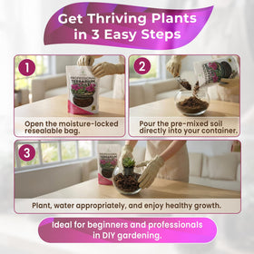 Leaves and Soul succulents in terrarium using soil with improved drainage and airflow