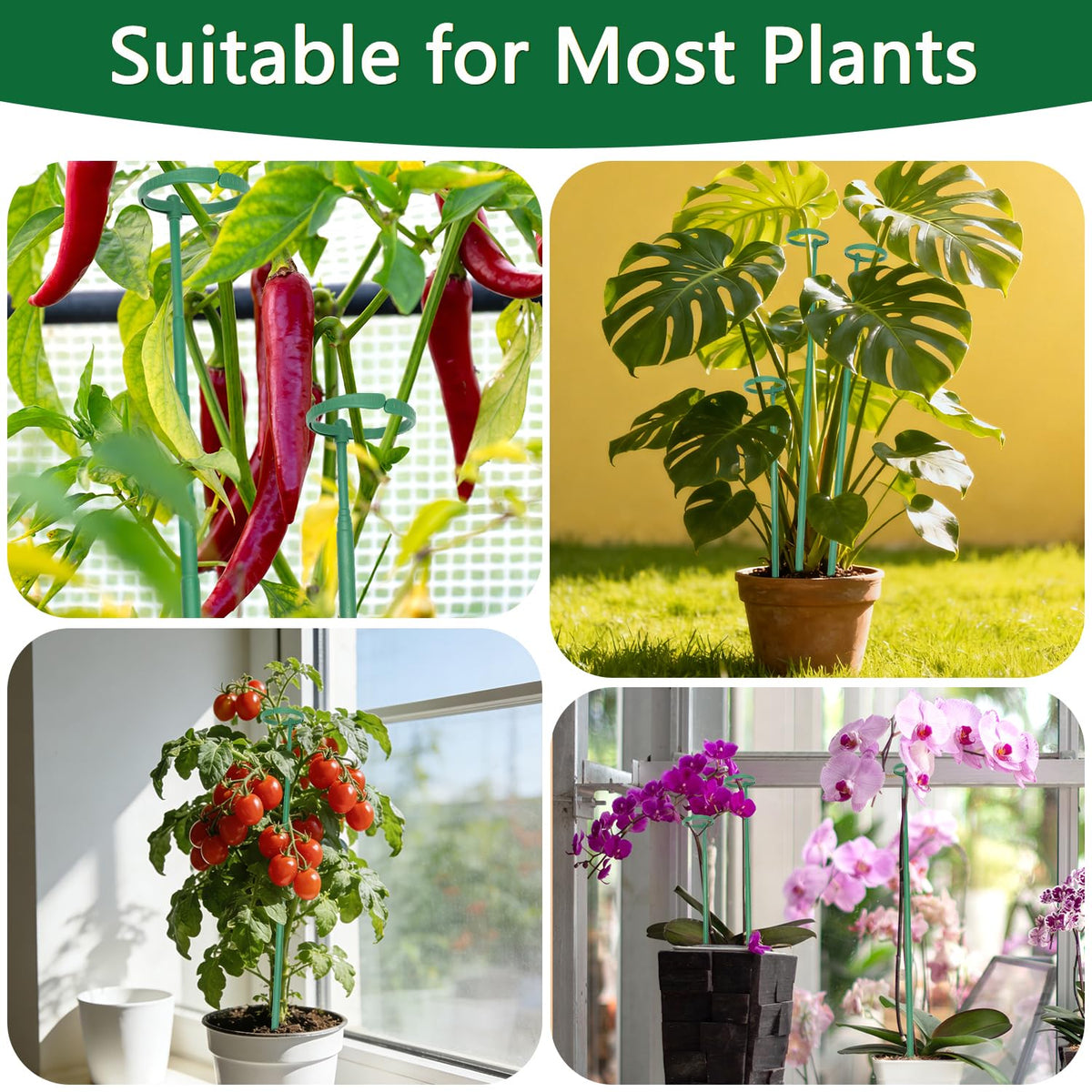 LECAMEBOR 7pack provides versatile supports for multiple plants