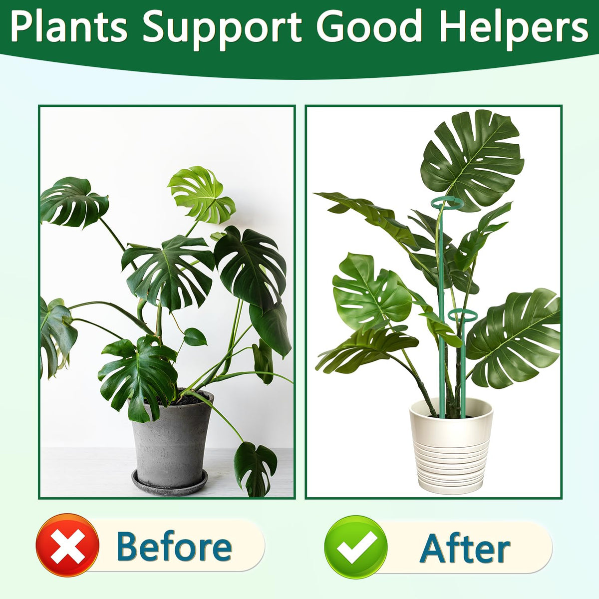 LECAMEBOR ideal for Monstera, orchids, tomatoes and other climbers