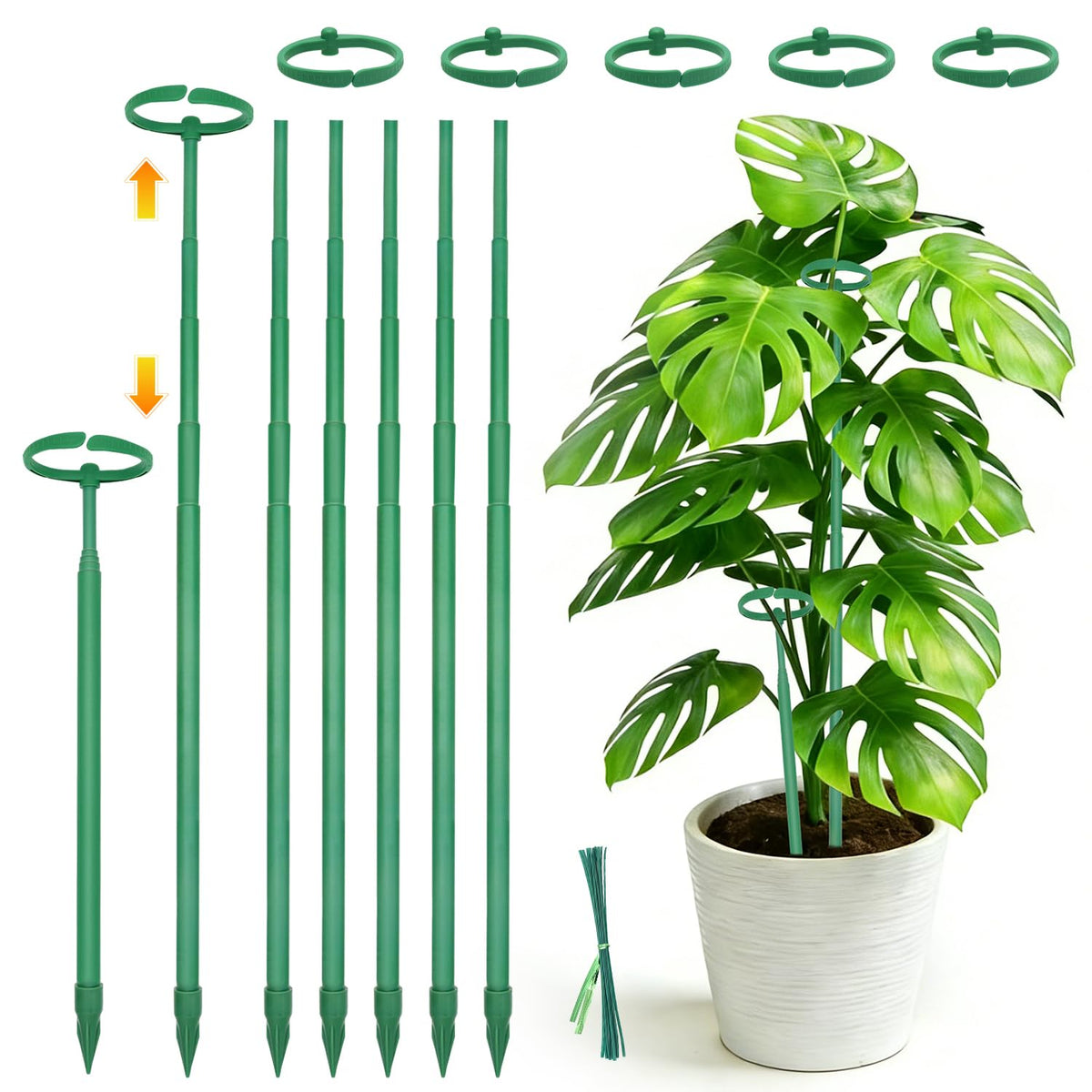 LECAMEBOR telescoping Monstera stake extends with your plant for upright growth