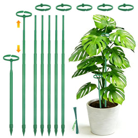 LECAMEBOR telescoping Monstera stake extends with your plant for upright growth