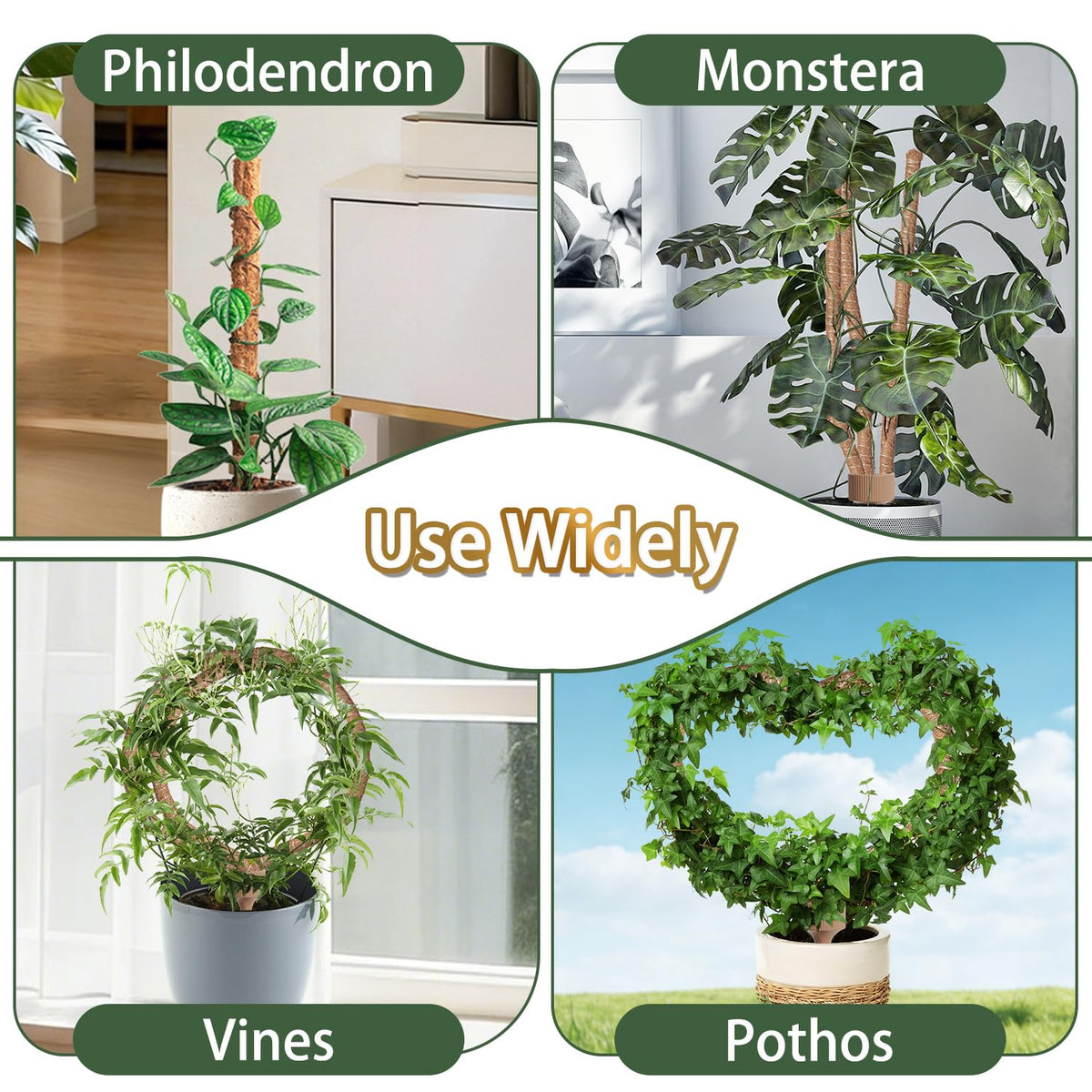 Versatile plant support suitable as stake, trellis, or keeper.