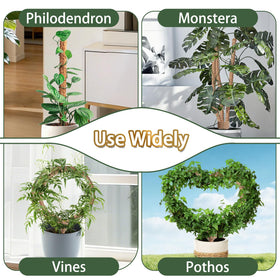 Versatile plant support suitable as stake, trellis, or keeper.