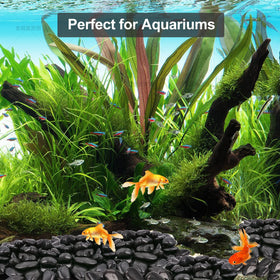Lechloris polished black river rocks stay vibrant, resisting fading in sunlit patios and beds.