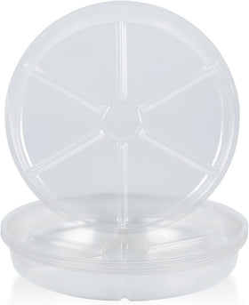 LeePhorn 4-inch clear plant saucer keeps pots dry and tidy.