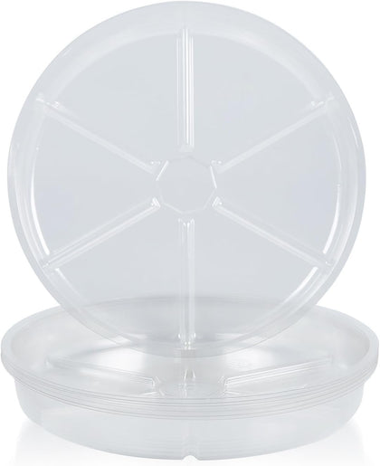LeePhorn 4-inch clear plant saucer keeps pots dry and tidy.
