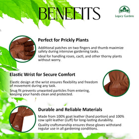 Legacy Gardens forearm-gauntlet gloves provide forearm protection for tough pruning tasks.