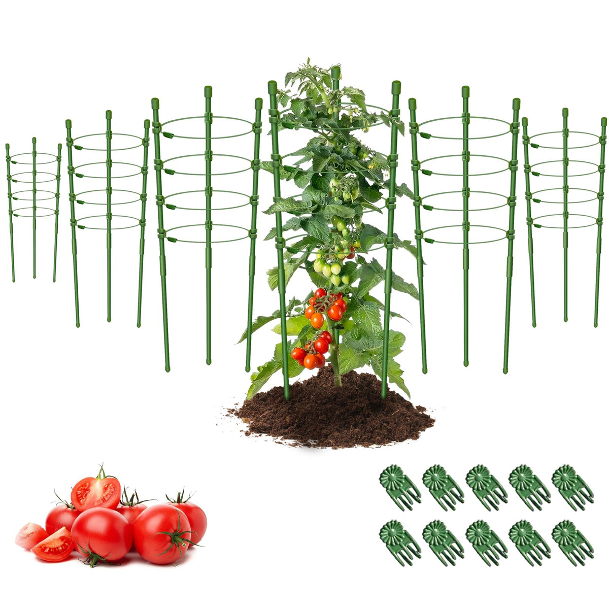 Legigo 36-inch plant cage six-pack supports tall tomato plants for upright growth