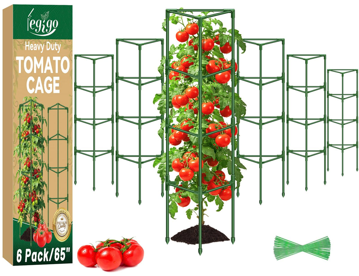Legigo 6-pack tomato cage assembled provides sturdy vertical support for climbing plants.