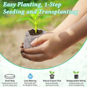 Legigo biodegradable mesh wrap around peat pods supports sustainable root growth.