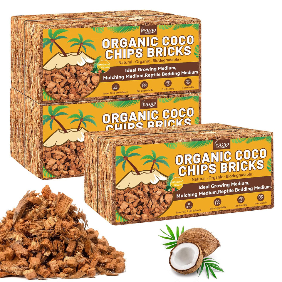 Legigo coco coir bricks 6-pack expanding when soaked for planting
