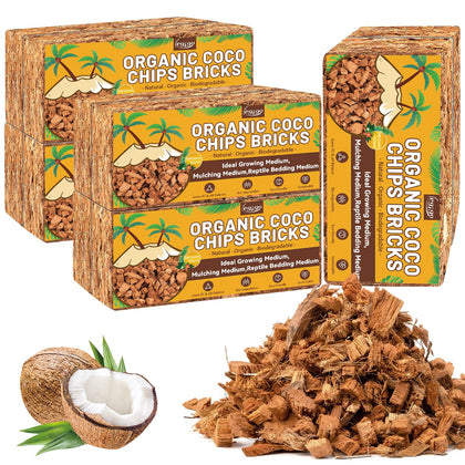 Legigo coco coir bricks expand when soaked to form ready-to-use potting media.