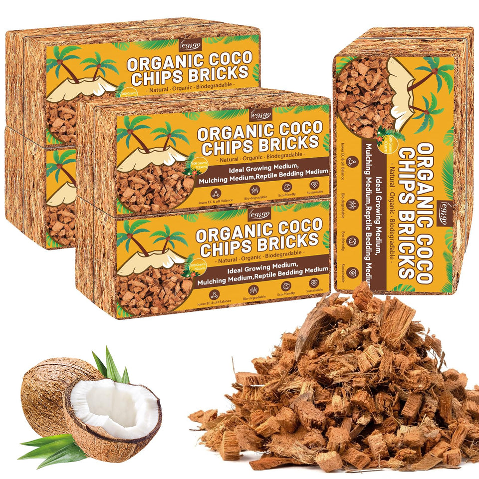Legigo coco coir bricks expand when soaked to form ready-to-use potting media.