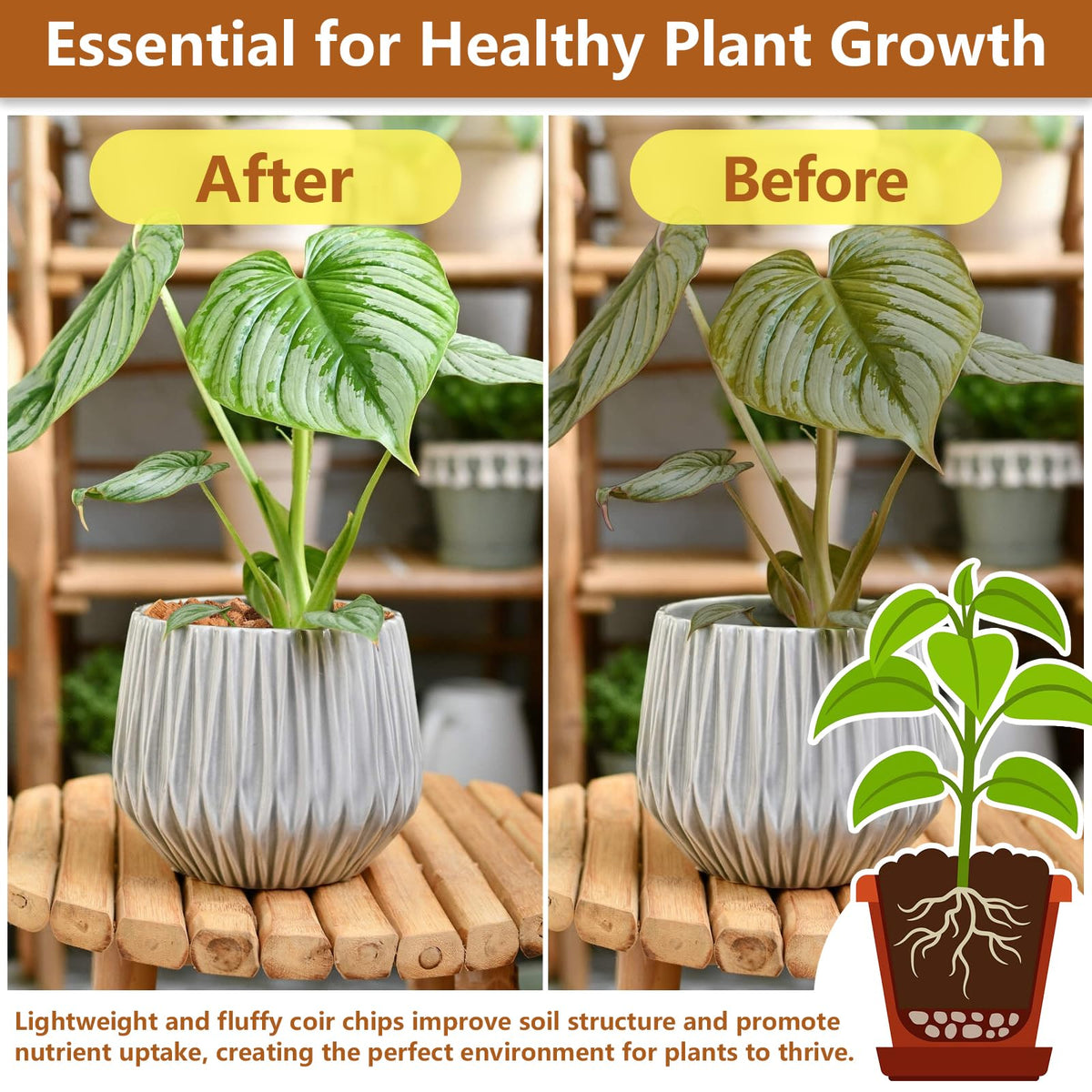 Legigo coco coir chips promote drainage and prevent waterlogging for healthy roots.
