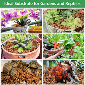 Legigo coco coir bricks suitable for indoor and outdoor gardening with versatile uses