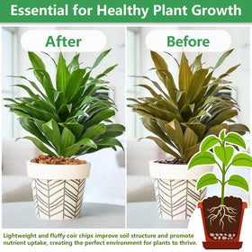 Legigo orchid substrate provides breathable medium for orchid roots