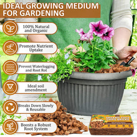 Legigo coco coir for orchids provides gentle aeration and orchid-friendly substrate.