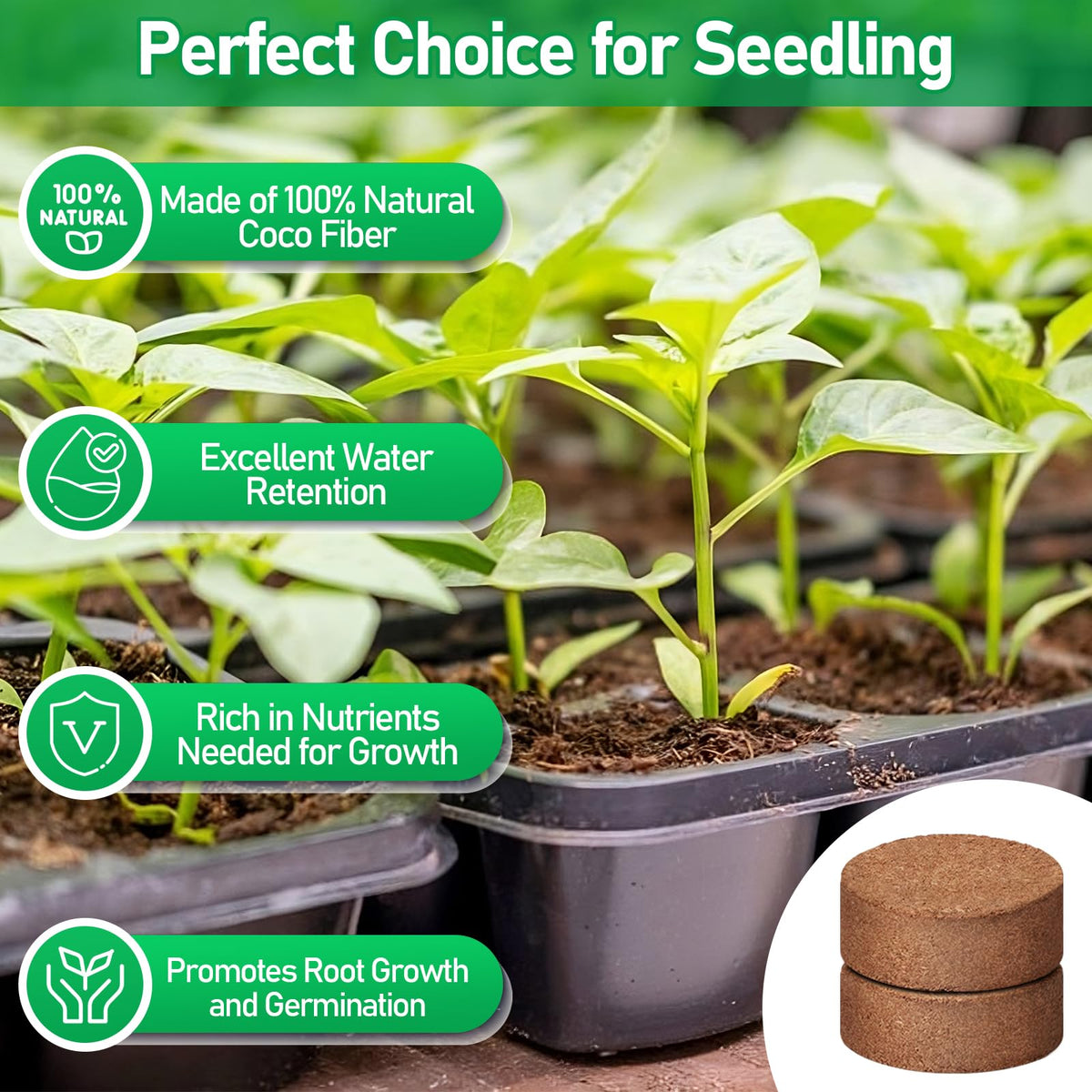 Legigo 40mm coco coir pellet designed for seedling pots and propagation