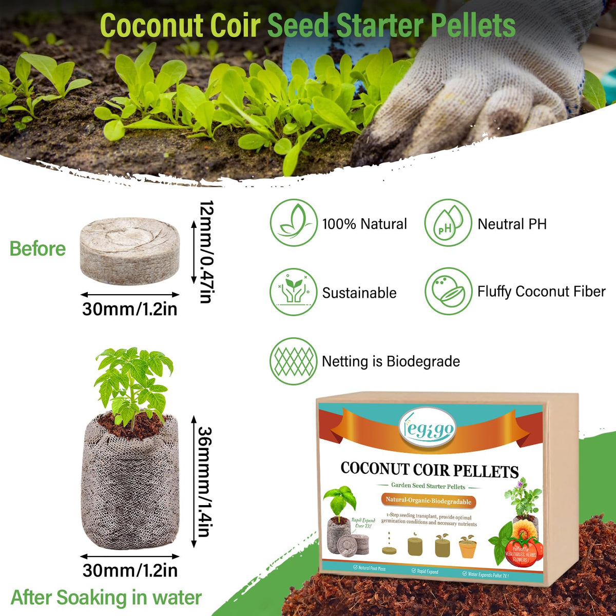 Legigo coco coir pellets expand with water to form a light seedling medium