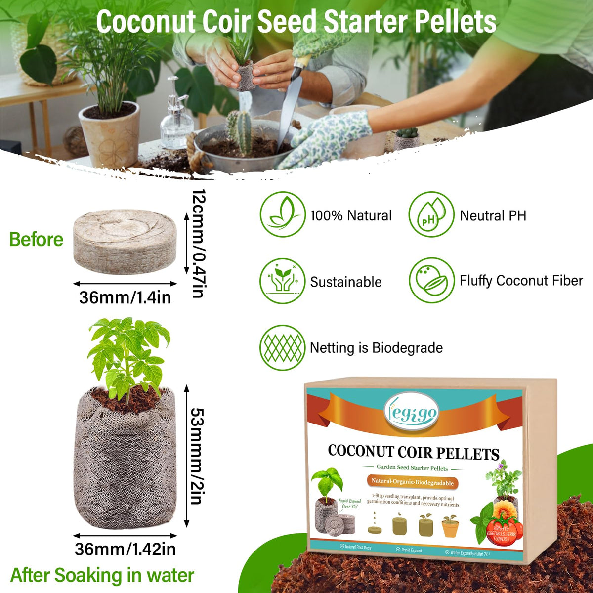 Legigo coco coir pellets expand with water for seedling setup