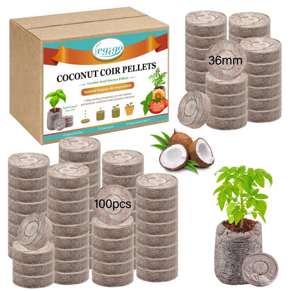 Legigo coco coir seed starter discs ready for germination