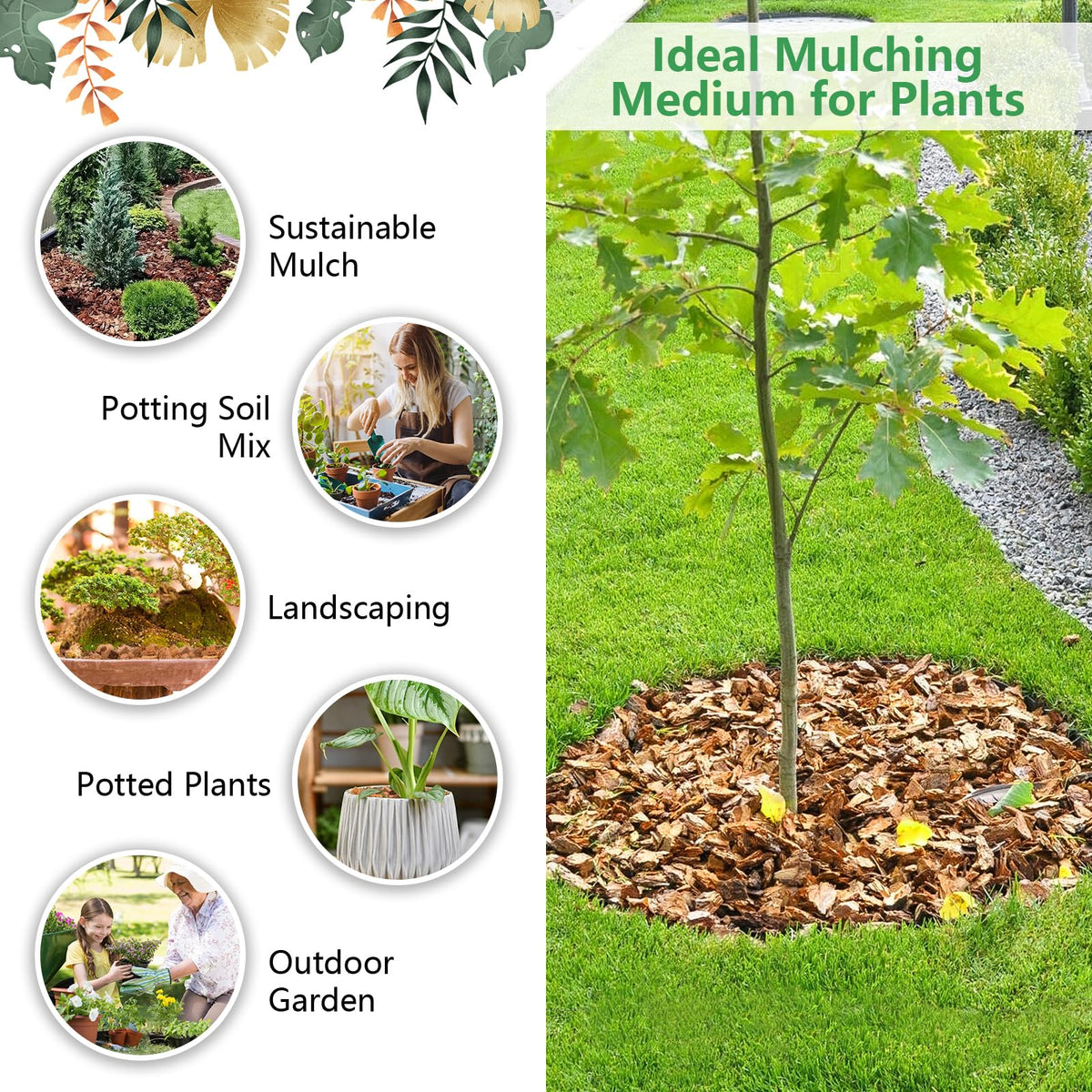 Legigo coco coir root aeration promotes healthy root growth in pots