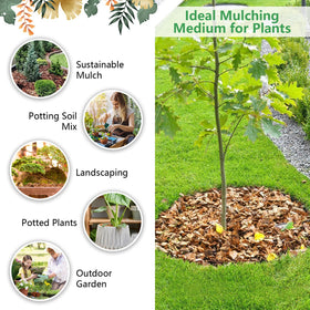 Legigo coco coir root aeration promotes healthy root growth in pots