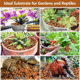 Legigo coco coir substrate doubles as reptile bedding in homes.
