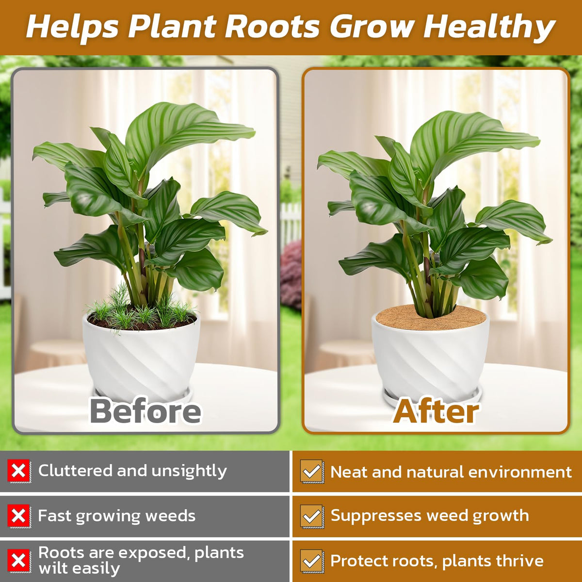 Legigo coconut ring is suitable for gardens, nurseries, and decorative indoor planters.