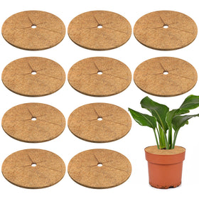 Legigo coconut fiber mulch ring on a plant pot supports moisture retention and weed suppression.
