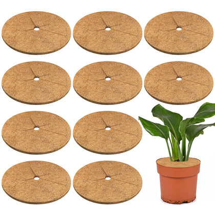 Legigo coconut fiber mulch ring on a plant pot supports moisture retention and weed suppression.