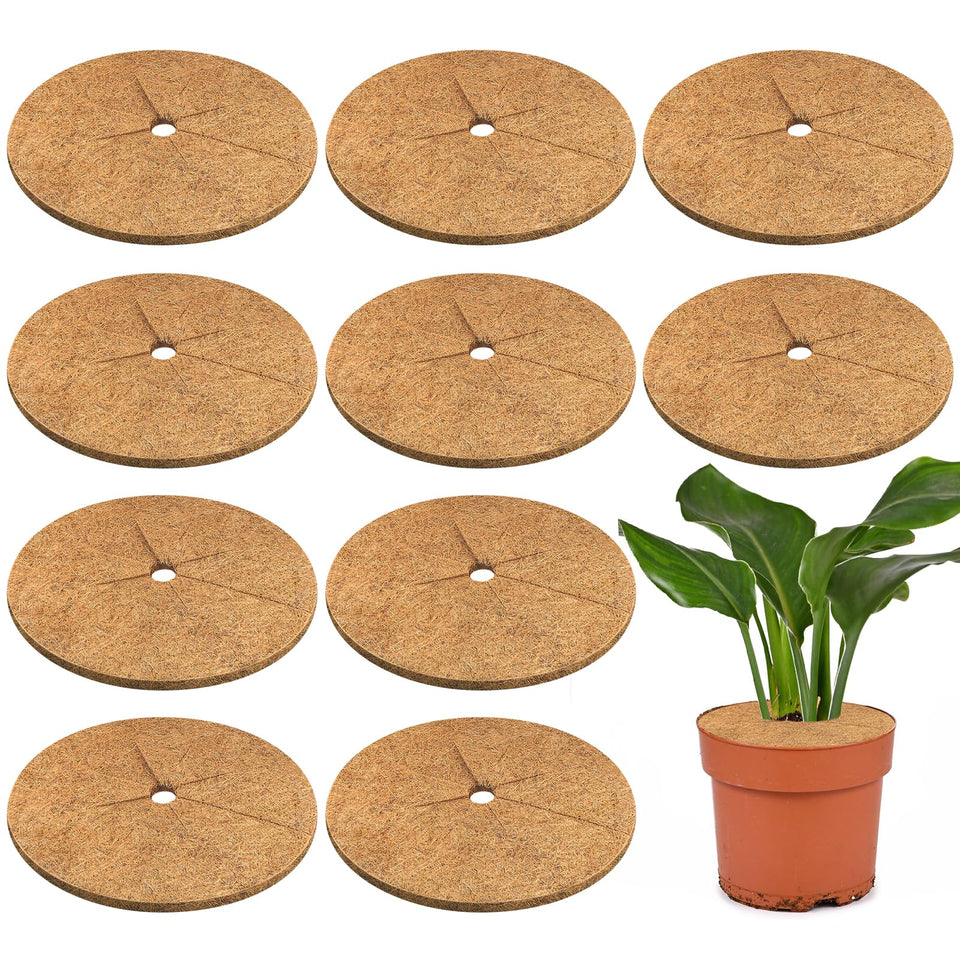 Legigo coconut fiber mulch ring on a plant pot supports moisture retention and weed suppression.