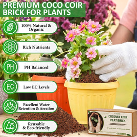 Legigo coir brick expands into airy texture ideal for roots.