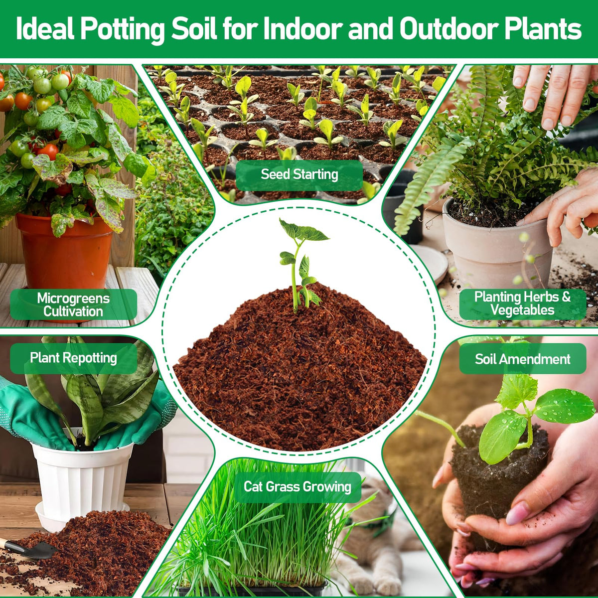 Legigo coir discs retain moisture for steady seedling nutrition