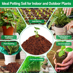 Legigo coir discs retain moisture for steady seedling nutrition