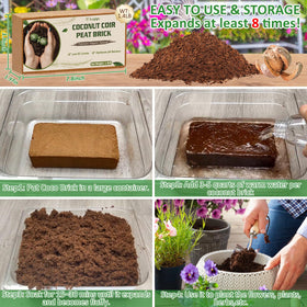 Legigo coco coir supports healthy root growth and vigor.