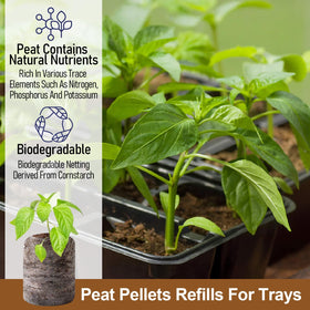 Legigo compact peat pellets in trays, suitable for 1020 tray setups.