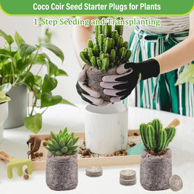 Legigo easy transplant-ready seedling plugs for garden beds